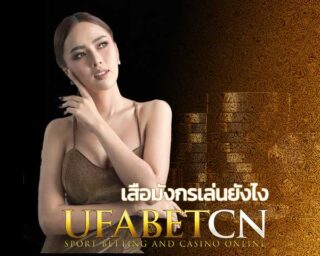 เสือมังกรเล่นยังไง? เสือมังกรออนไลน์ pantip วิธีเล่นให้ได้เงิน สมัคร UFABET เสือมังกรออนไลน์ ขั้นต่ำ 10 บาท เสือมังกร Casino เล่นผ่านมือถือ