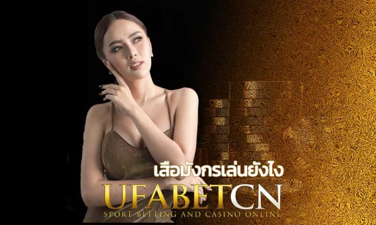 เสือมังกรเล่นยังไง เสือ มังกร วิธีเล่น ขั้นต่ำ 10 บาท UFABET เสือมังกรออนไลน์ มือถือ เทคนิคเล่นให้ได้เงิน